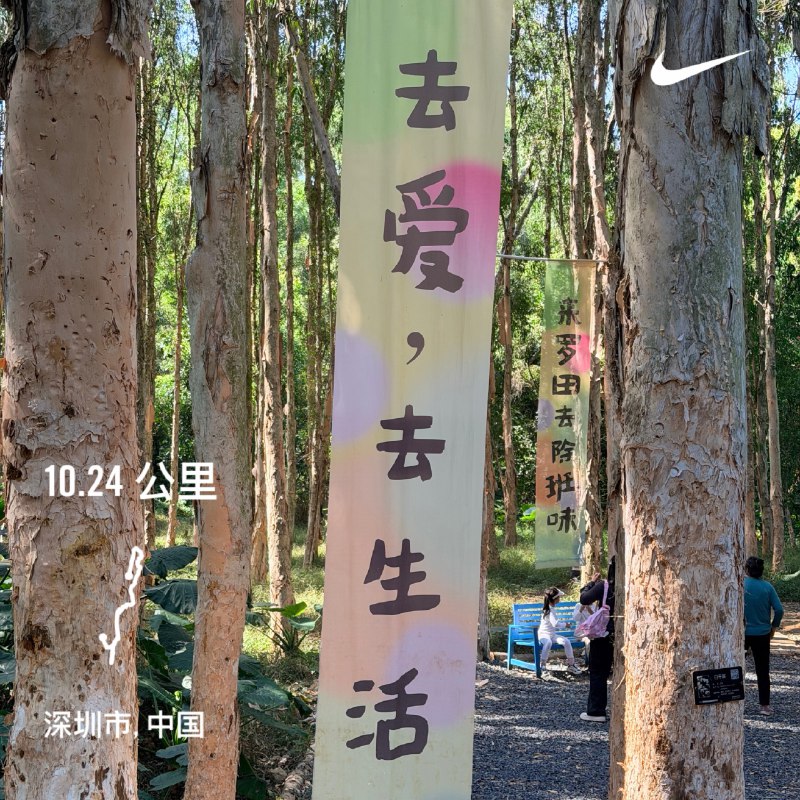 #workout 早起跑个10公里