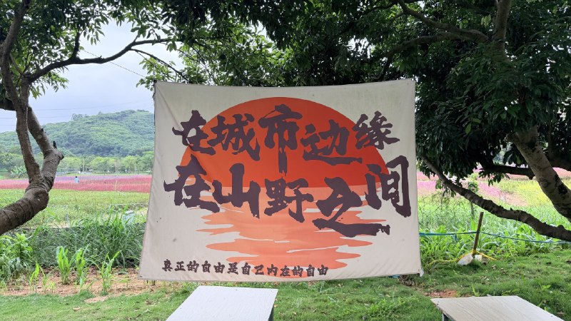 #相册 昨天飞鸭开心农场，很喜欢它的这些挂条