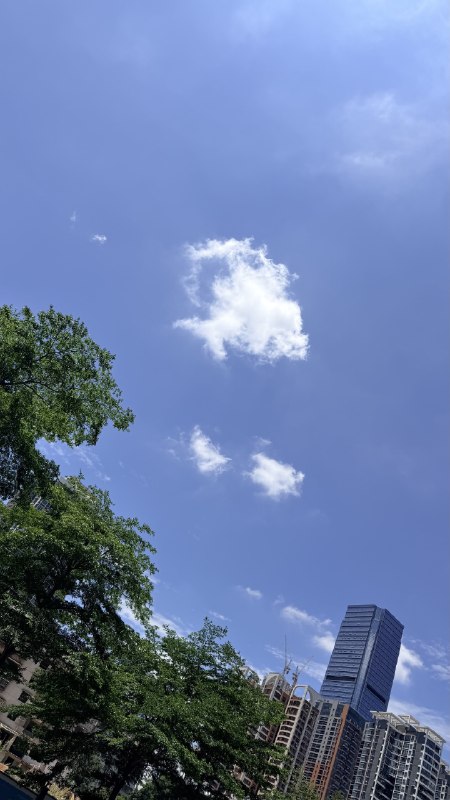 #相册 久违的深圳蓝via Memos