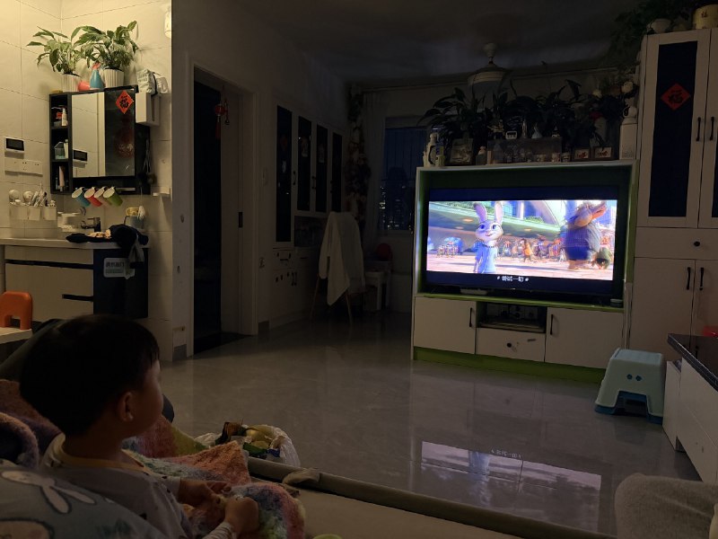 周五开启一场家庭影院模式，重温一下《疯狂动物城1》