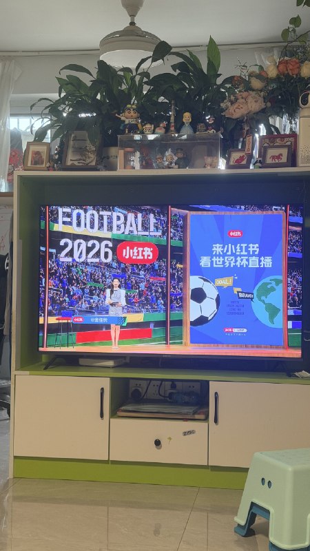 小红书世界杯直播的投屏体验挺好，比央视官方和咪咕强
