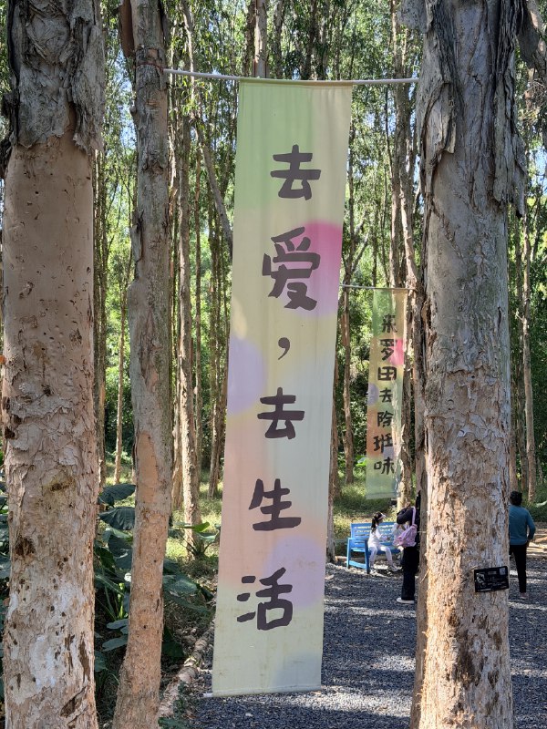 罗田森林公园停车场停满了，需要等候进场，出一辆才能进一辆